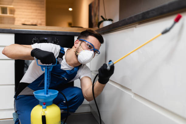 Best Local Pest Control Services  in Dunbar, SC