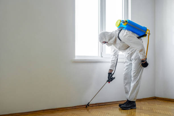 Best Cockroach Control Services  in Dunbar, SC