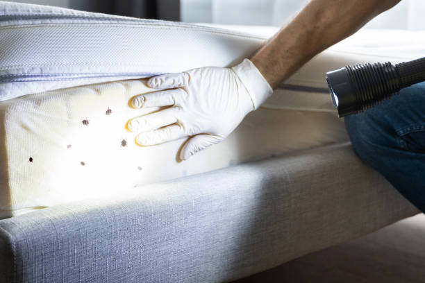 Pest Control Cost in Dunbar, SC