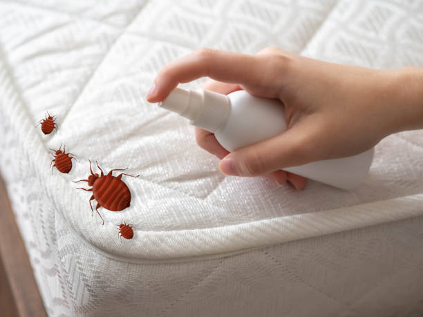 Best Best Pest Control Companies  in Dunbar, SC